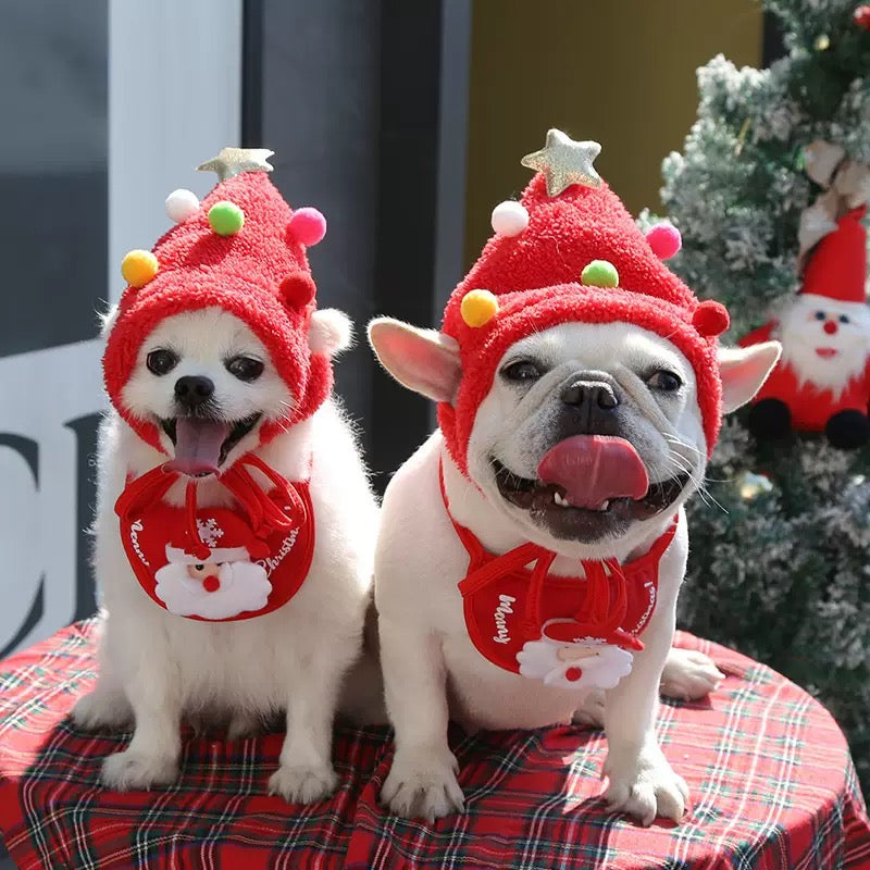 Two dogs wearing red Christmas tree hats and Santa bib bandanas