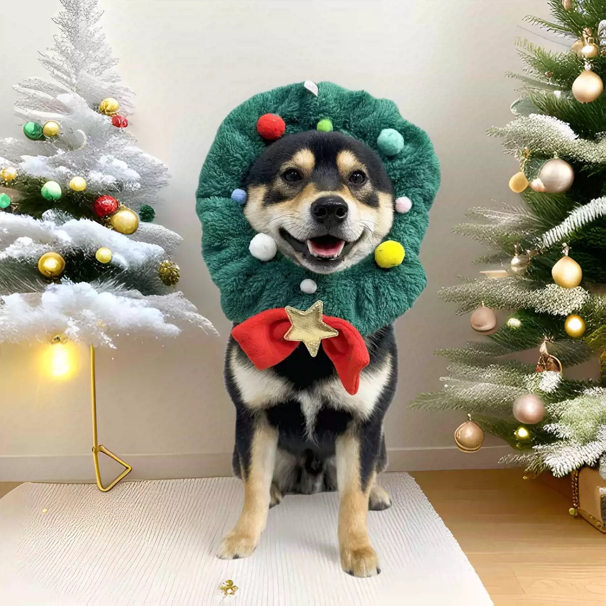 Shiba Inu dog wearing green Christmas tree wreath hat with colorful pom-poms and red bow gold star