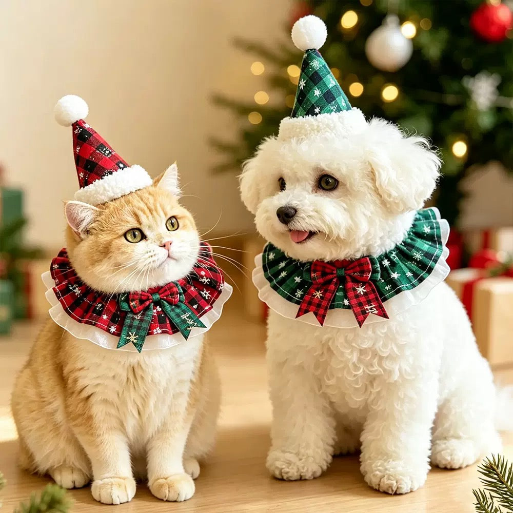 Orange cat and white Bichon wearing matching Christmas plaid hats and ruffle collar bibs