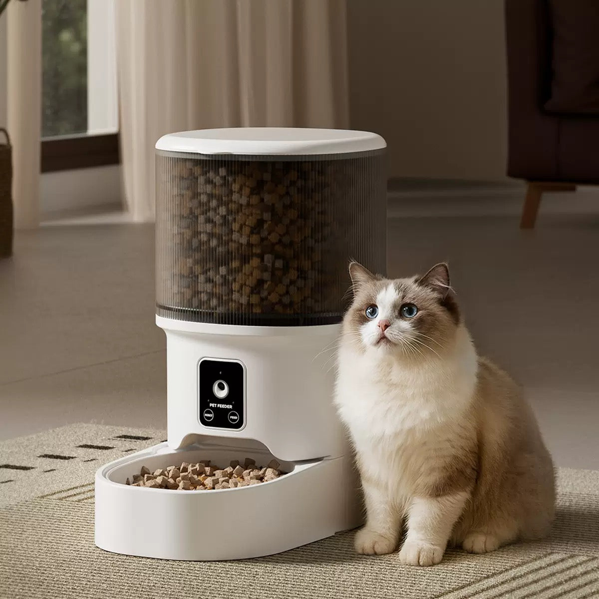 Ragdoll cat sitting next to large white automatic pet feeder with transparent food storage