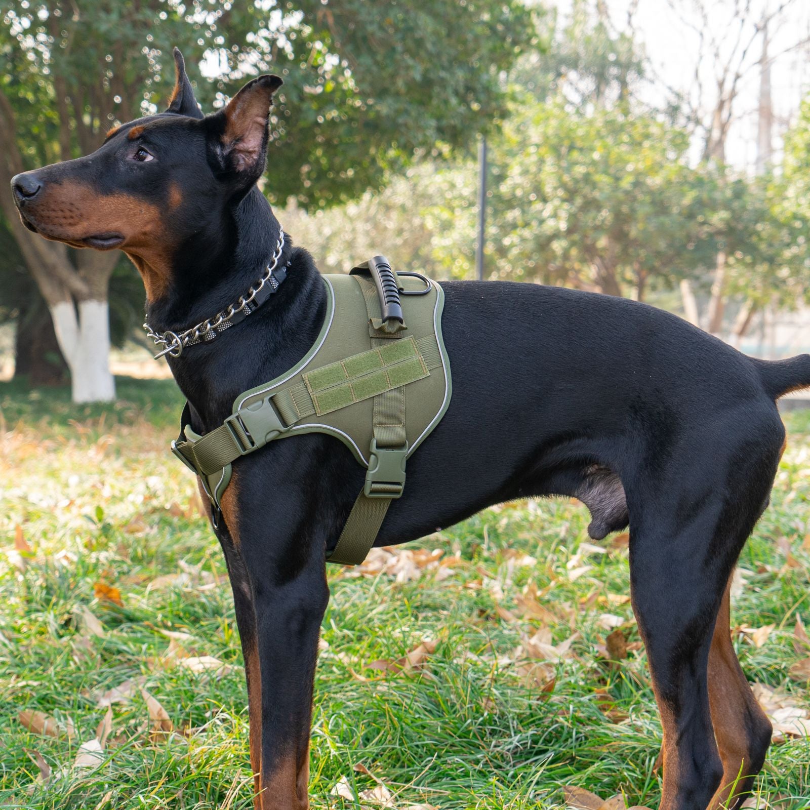 VEMIGO Professional No-Pull Tactical Dog Harness - Reflective Military Vest