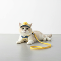 Yellow gingham cat harness and cap set studio photo