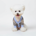 White dog wearing teddy bear knit cardigan studio lifestyle photo