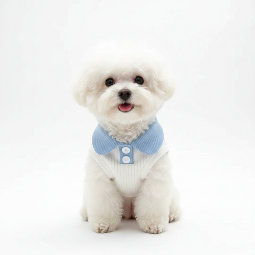 Blue polo collar dog vest studio lifestyle photo